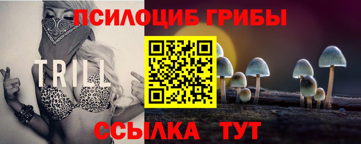 Галлюциногенные грибы MAGIC MUSHROOMS Зима